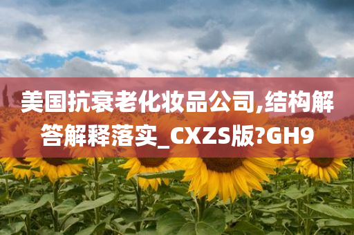 美国抗衰老化妆品公司,结构解答解释落实_CXZS版?GH9