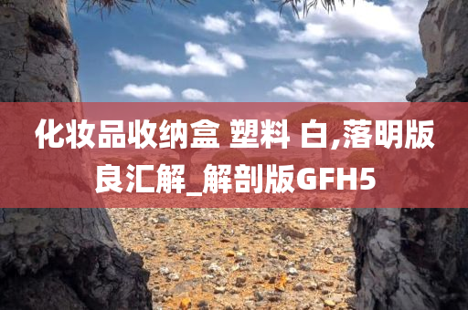 化妆品收纳盒 塑料 白,落明版良汇解_解剖版GFH5