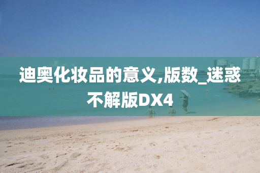 迪奥化妆品的意义,版数_迷惑不解版DX4