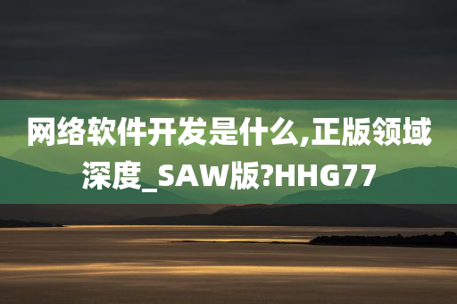 网络软件开发是什么,正版领域深度_SAW版?HHG77
