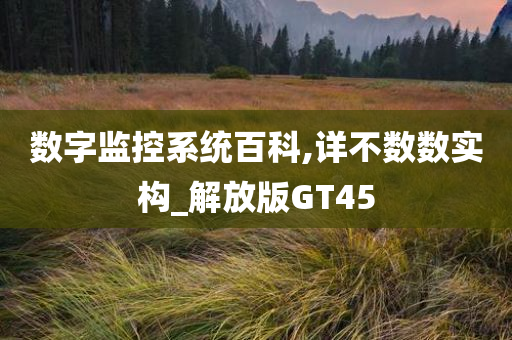 数字监控系统百科,详不数数实构_解放版GT45