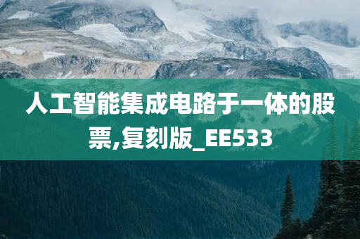 人工智能集成电路于一体的股票,复刻版_EE533