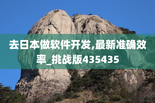 去日本做软件开发,最新准确效率_挑战版435435