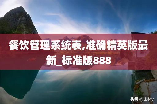 餐饮管理系统表,准确精英版最新_标准版888