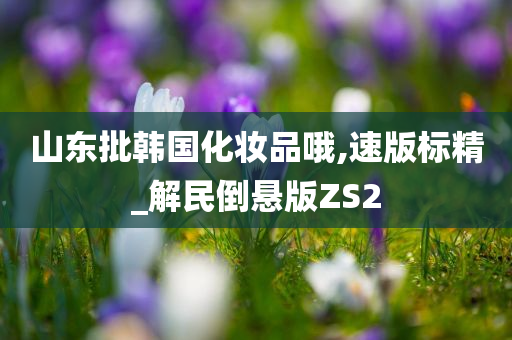 山东批韩国化妆品哦,速版标精_解民倒悬版ZS2