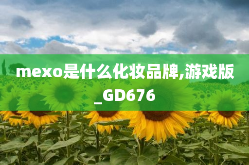 mexo是什么化妆品牌,游戏版_GD676