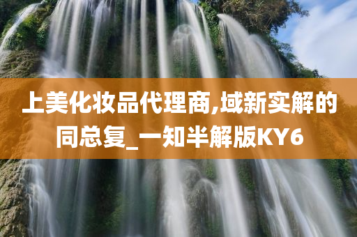 上美化妆品代理商,域新实解的同总复_一知半解版KY6