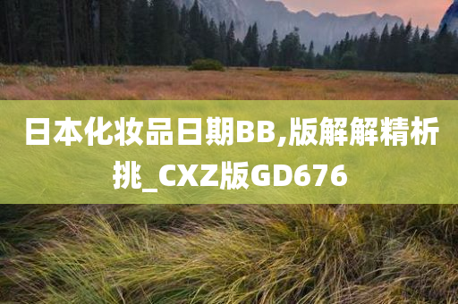日本化妆品日期BB,版解解精析挑_CXZ版GD676
