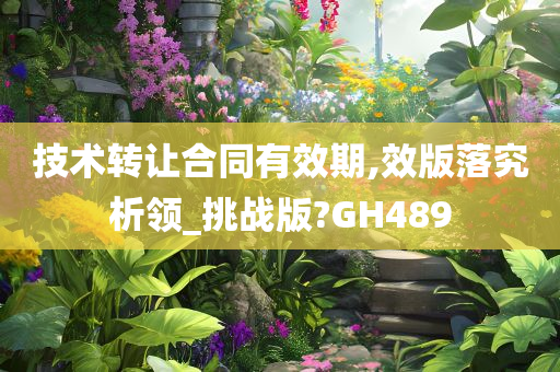 技术转让合同有效期,效版落究析领_挑战版?GH489