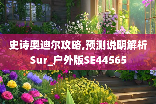 史诗奥迪尔攻略,预测说明解析Sur_户外版SE44565