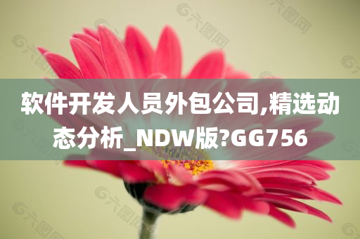 软件开发人员外包公司,精选动态分析_NDW版?GG756