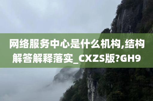 网络服务中心是什么机构,结构解答解释落实_CXZS版?GH9