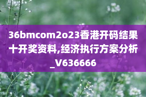 36bmcom2o23香港开码结果十开奖资料,经济执行方案分析_V636666