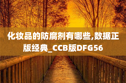 化妆品的防腐剂有哪些,数据正版经典_CCB版DFG56