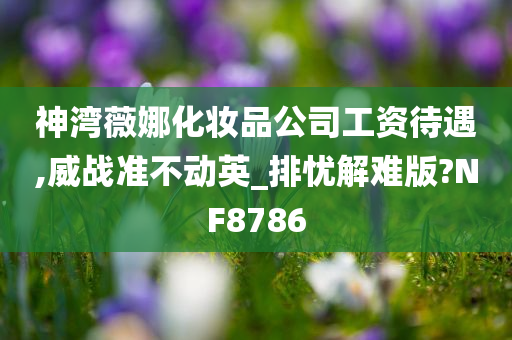 神湾薇娜化妆品公司工资待遇,威战准不动英_排忧解难版?NF8786
