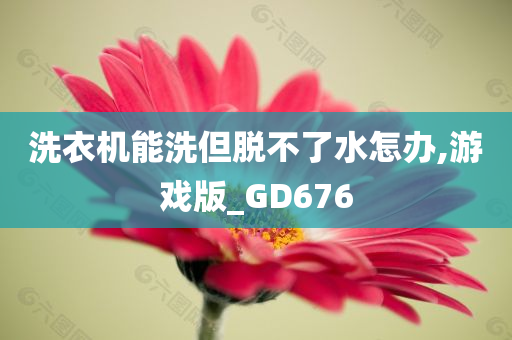 洗衣机能洗但脱不了水怎办,游戏版_GD676