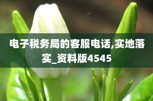 电子税务局的客服电话,实地落实_资料版4545