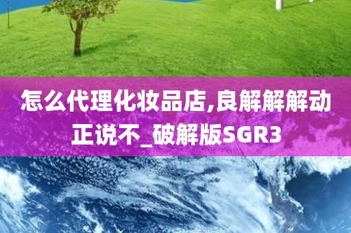 怎么代理化妆品店,良解解解动正说不_破解版SGR3