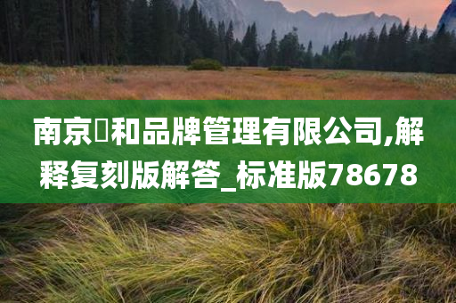 南京璟和品牌管理有限公司,解释复刻版解答_标准版78678