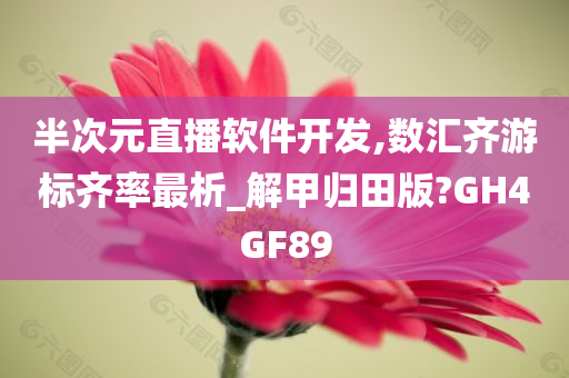 半次元直播软件开发,数汇齐游标齐率最析_解甲归田版?GH4GF89