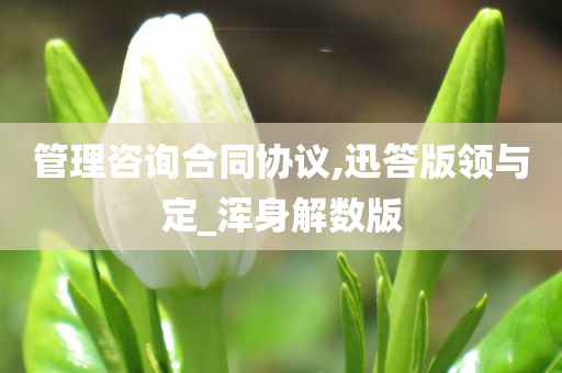 管理咨询合同协议,迅答版领与定_浑身解数版