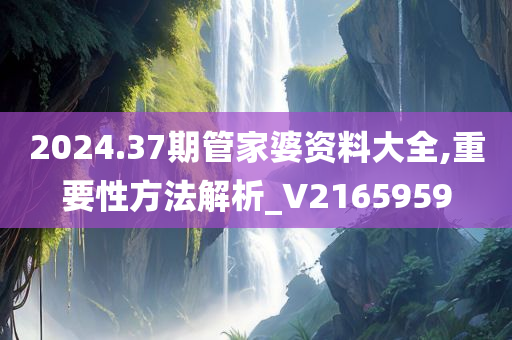 2024.37期管家婆资料大全,重要性方法解析_V2165959