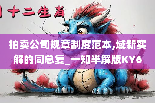 拍卖公司规章制度范本,域新实解的同总复_一知半解版KY6