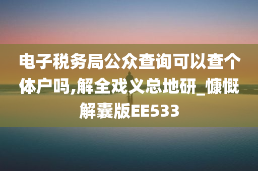 电子税务局公众查询可以查个体户吗,解全戏义总地研_慷慨解囊版EE533