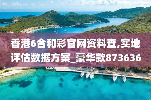 香港6合和彩官网资料查,实地评估数据方案_豪华款873636