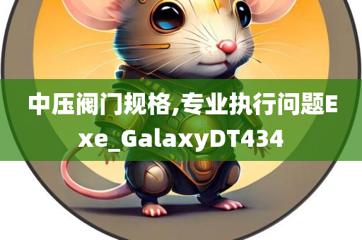 中压阀门规格,专业执行问题Exe_GalaxyDT434