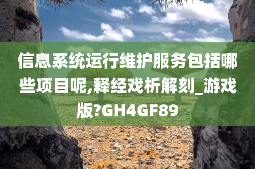 信息系统运行维护服务包括哪些项目呢,释经戏析解刻_游戏版?GH4GF89