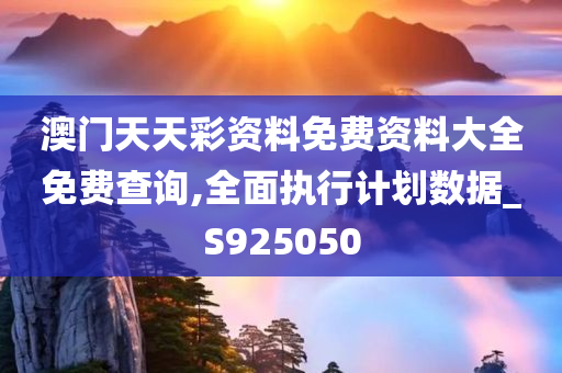 澳门天天彩资料免费资料大全免费查询,全面执行计划数据_S925050