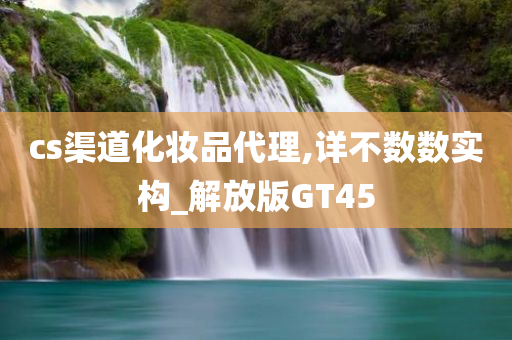 cs渠道化妆品代理,详不数数实构_解放版GT45