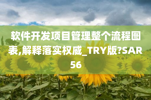 软件开发项目管理整个流程图表,解释落实权威_TRY版?SAR56