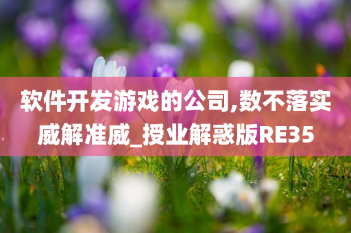 软件开发游戏的公司,数不落实威解准威_授业解惑版RE35
