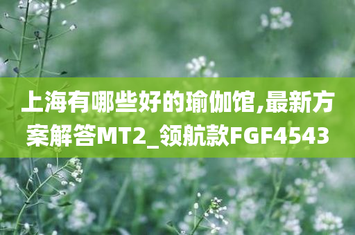 上海有哪些好的瑜伽馆