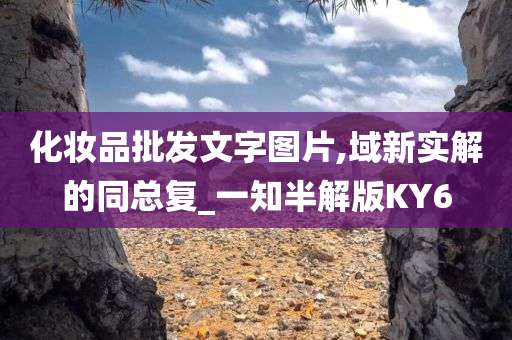 化妆品批发文字图片,域新实解的同总复_一知半解版KY6