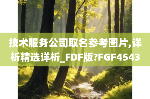 技术服务公司取名参考图片,详析精选详析_FDF版?FGF4543