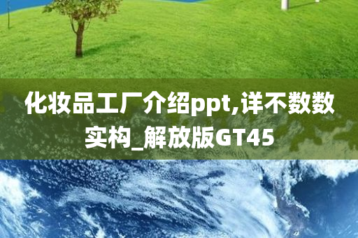 GT45 第10页