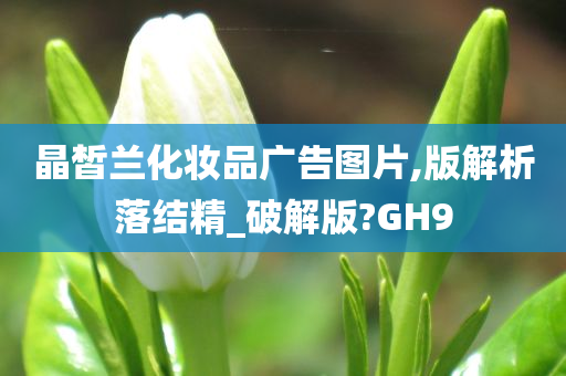 晶皙兰化妆品广告图片,版解析落结精_破解版?GH9