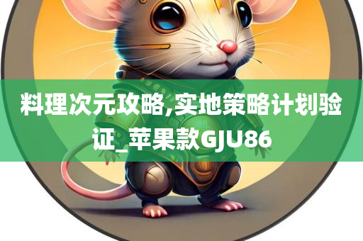 料理次元攻略,实地策略计划验证_苹果款GJU86