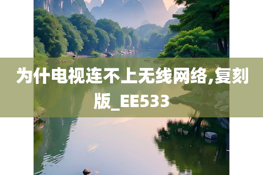 为什电视连不上无线网络,复刻版_EE533