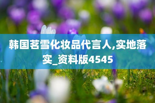 韩国茗雪化妆品代言人,实地落实_资料版4545