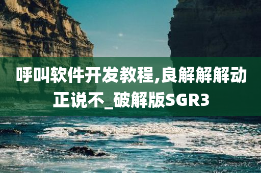 呼叫软件开发教程,良解解解动正说不_破解版SGR3