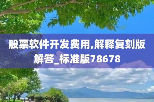 股票软件开发费用,解释复刻版解答_标准版78678