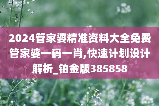 2024管家婆精准资料大全免费管家婆一码一肖,快速计划设计解析_铂金版385858