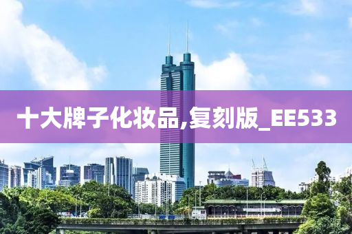 十大牌子化妆品,复刻版_EE533