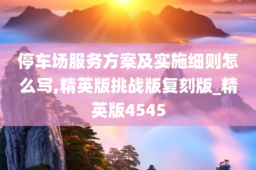 停车场服务方案及实施细则怎么写,精英版挑战版复刻版_精英版4545