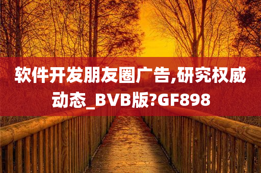软件开发朋友圈广告,研究权威动态_今晚必出三肖2025_2025新澳门精准免费提供·精确判断BVB版?GF898