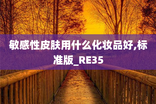 敏感性皮肤用什么化妆品好,标准版_RE35